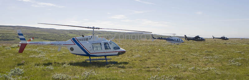 kps07084013