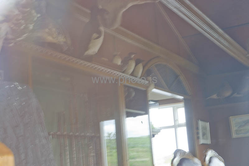 kps06080002