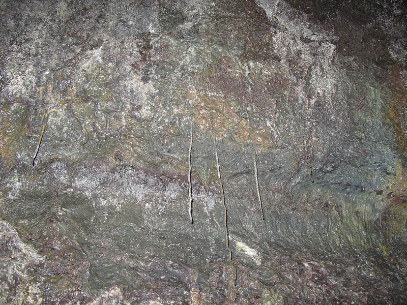 kps06080070