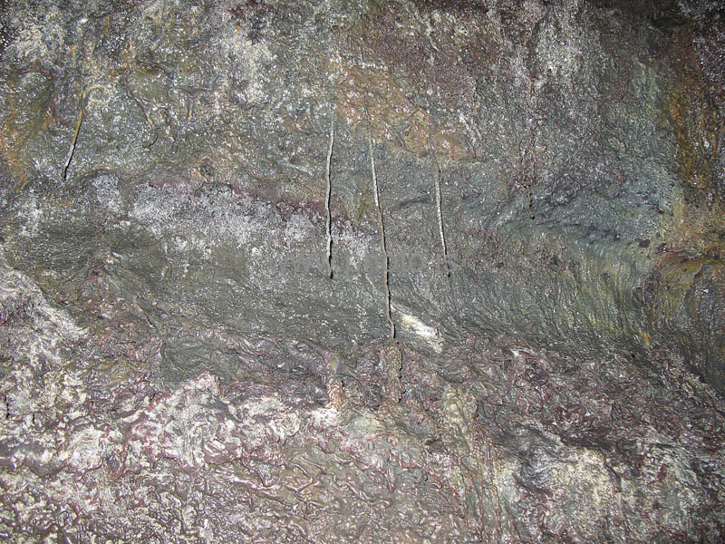 kps06080071