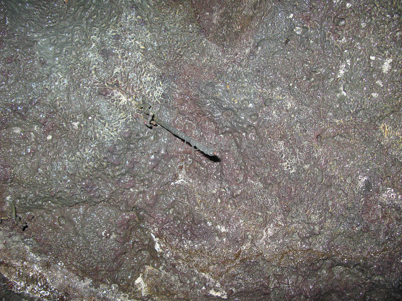 kps06080072