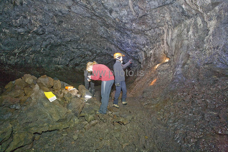 kps06080094