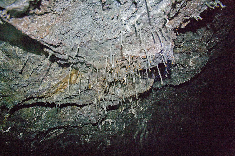 kps06080114