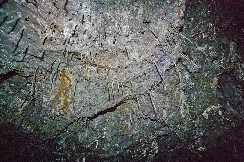 kps06080115