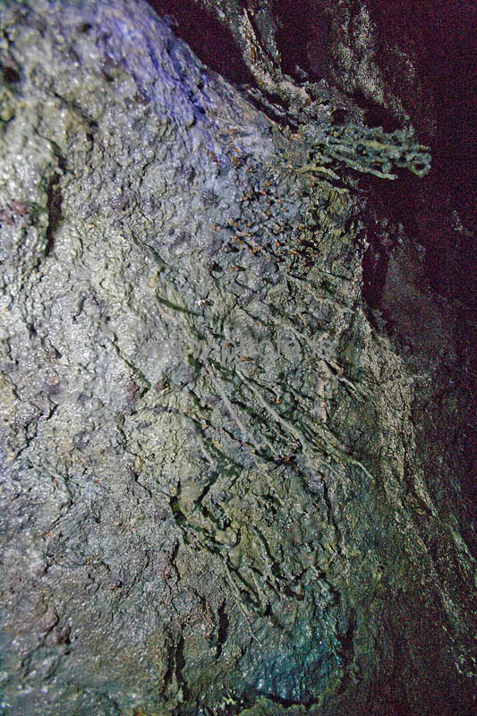 kps06080121