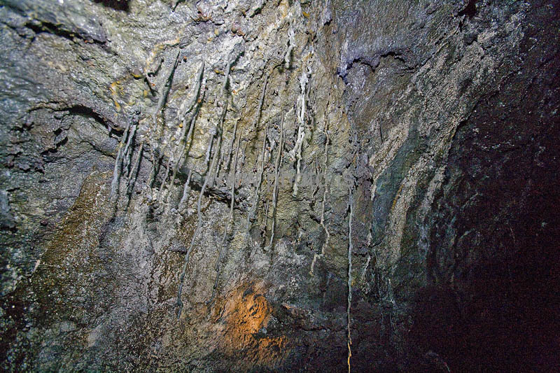 kps06080122