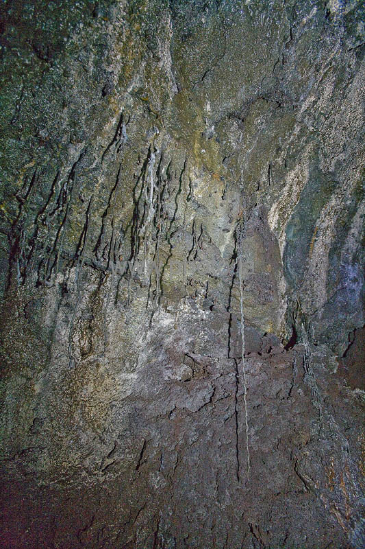 kps06080123