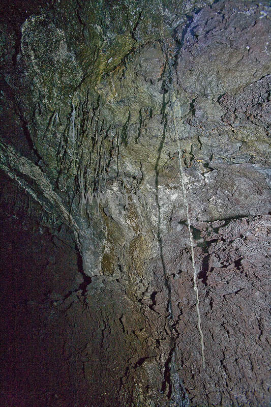 kps06080124