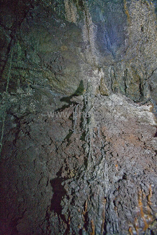 kps06080125
