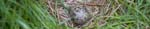 kps06080320p